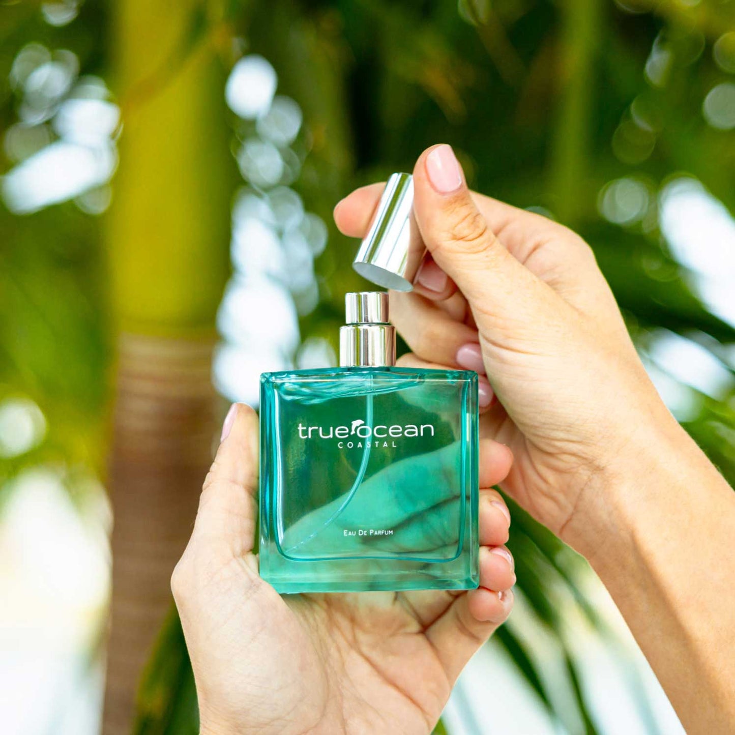 : Coastal - a Beach Perfume