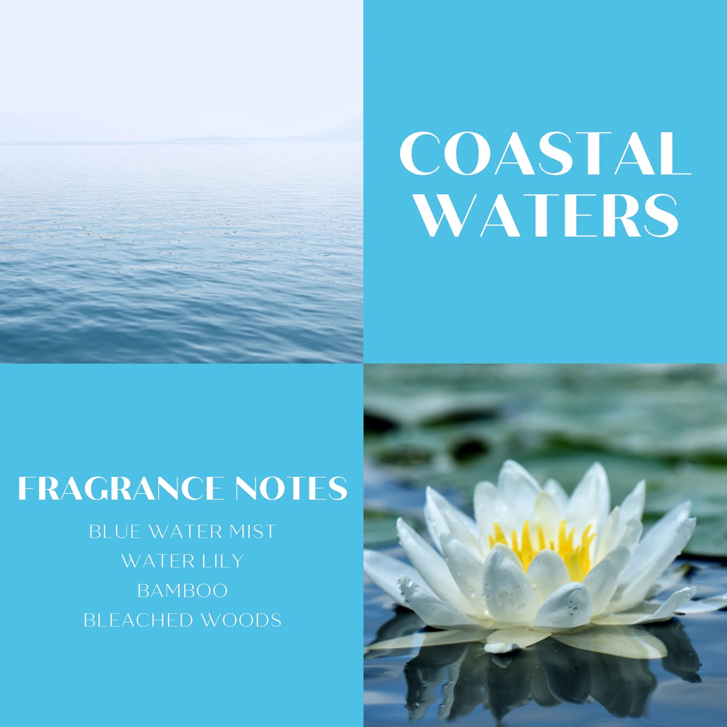 Coastal Waters 14.5 Oz Candle